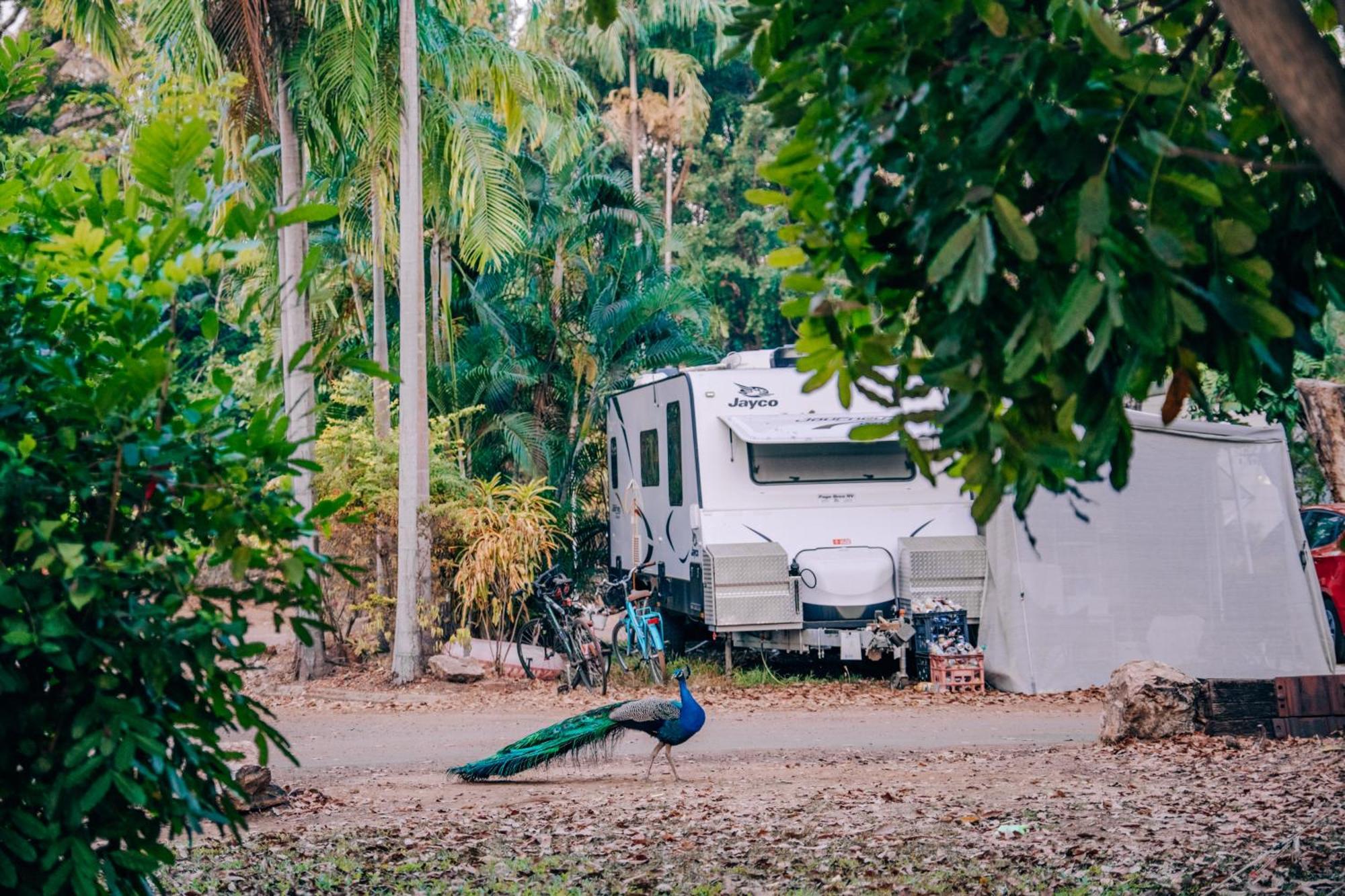 Big4 Howard Springs Holiday Park Darwin Exterior foto